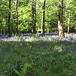 Ingledale Apartment, Ingleton, Yorkshire Dales National Park, Famous Three Peaks, Near The District, Pets Are Welcome 아파트 *