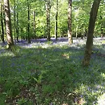 아파트 Ingledale Apartment, Ingleton, Yorkshire Dales National Park, Famous Three Peaks, Near The District, Pets Are Welcome