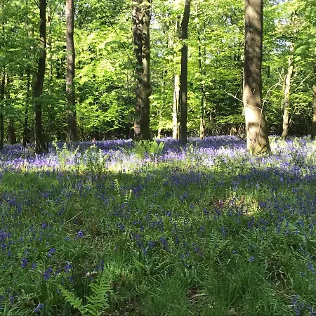 Ingledale Apartment, Ingleton, Yorkshire Dales National Park, Famous Three Peaks, Near The District, Pets Are Welcome Apartament *
