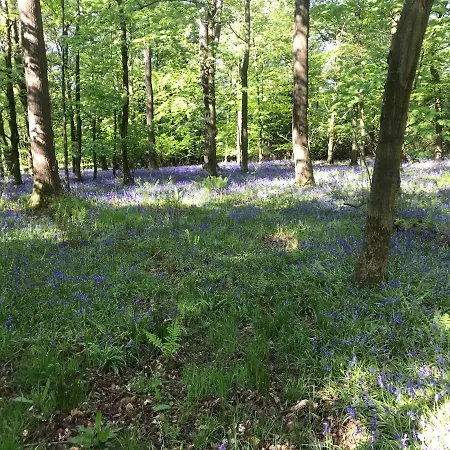 Apartament Ingledale Apartment, Ingleton, Yorkshire Dales National Park, Famous Three Peaks, Near The District, Pets Are Welcome