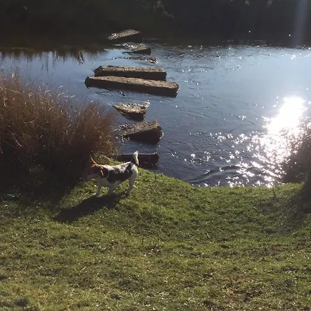 Ingledale Apartment, Ingleton, Yorkshire Dales National Park, Famous Three Peaks, Near The District, Pets Are Welcome Appartement *