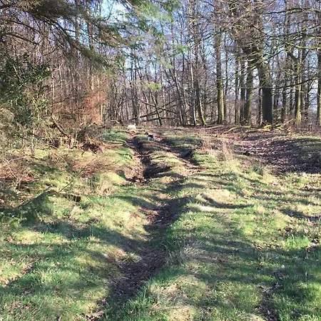 Appartement Ingledale Apartment, Ingleton, Yorkshire Dales National Park, Famous Three Peaks, Near The District, Pets Are Welcome